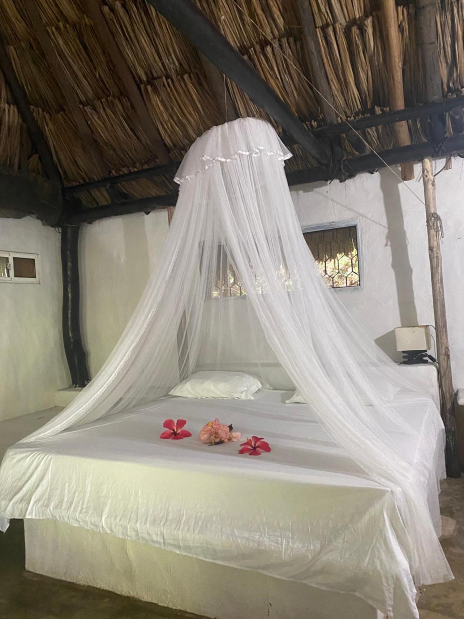Taironaka Eco Hotel Don Diego Εξωτερικό φωτογραφία